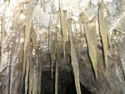 cimg5227
