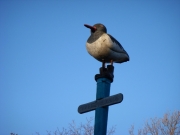dscn0278