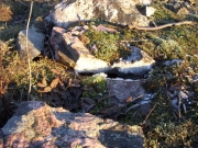 dscn0325