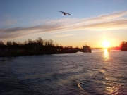 dscn0350