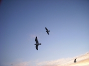dscn0351
