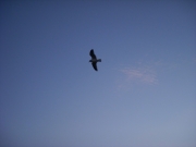 dscn0352