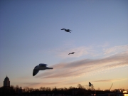 dscn0353