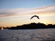 dscn0354