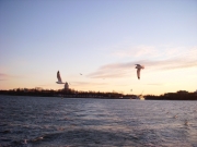 dscn0355