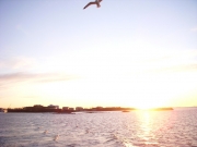 dscn0356