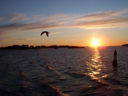 dscn0358
