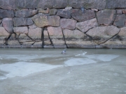 dscn0394