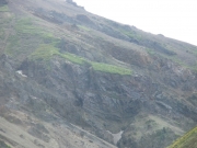 IMGP0542