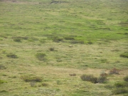 IMGP0550