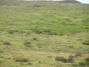 IMGP0552