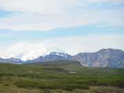 IMGP0553