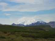 IMGP0554