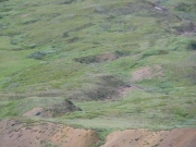 IMGP0575