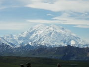 IMGP0581
