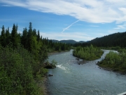 IMGP0600