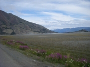 DSCN2262