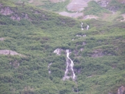 IMGP0850