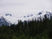 IMGP0863