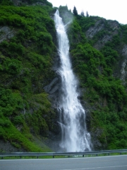 IMGP0875