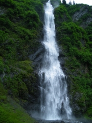 IMGP0877