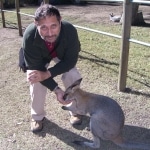 wallabies e altro17