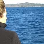 whale watching10