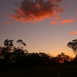 tramonto_nel_bush2