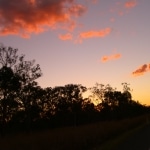 tramonto_nel_bush3