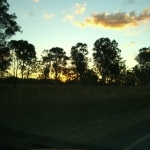 tramonto_nel_bush6