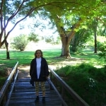 la_citta5