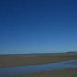 spiagge11