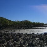 spiagge12