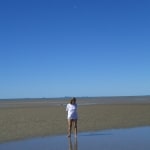 spiagge13