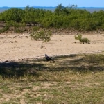 spiagge3