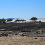 spiagge5