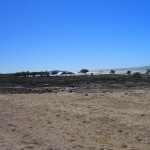 spiagge6