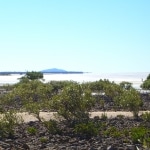 spiagge7