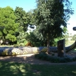 il_serpente_arcobaleno2