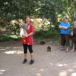 oz_animals25