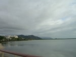 costa_fauna3