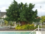 piscina_pubblica1_2