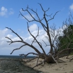 spiagge_e_mare1