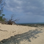 spiagge_e_mare12