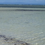 spiagge_e_mare14