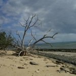 spiagge_e_mare2