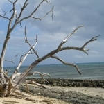 spiagge_e_mare3