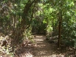 a_spasso_per_le_springs2
