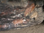 segni_civilta7