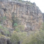 ten_canoes1